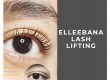 elleebana-training