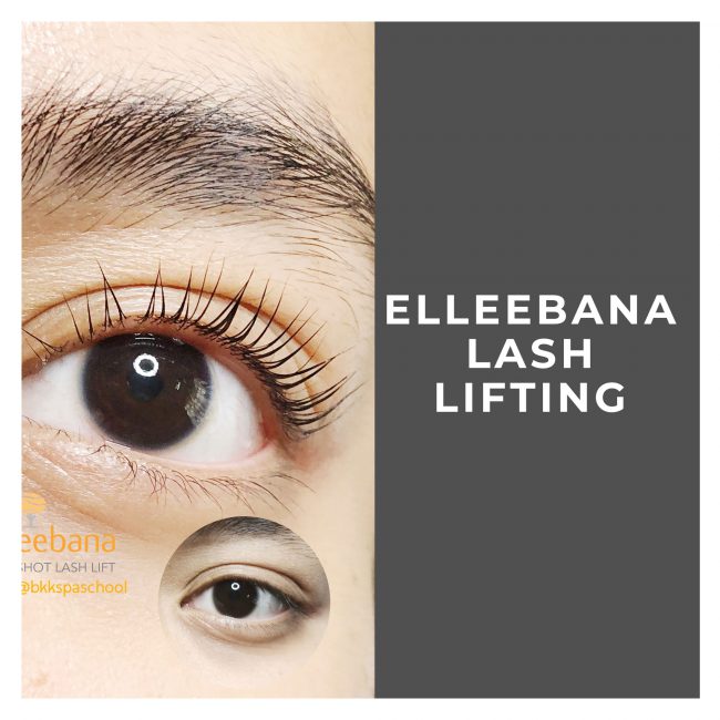 elleebana-training